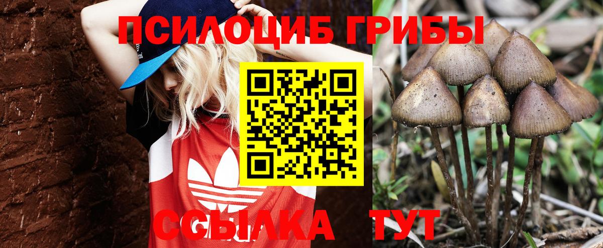 Галлюциногенные грибы ЛСД Костомукша